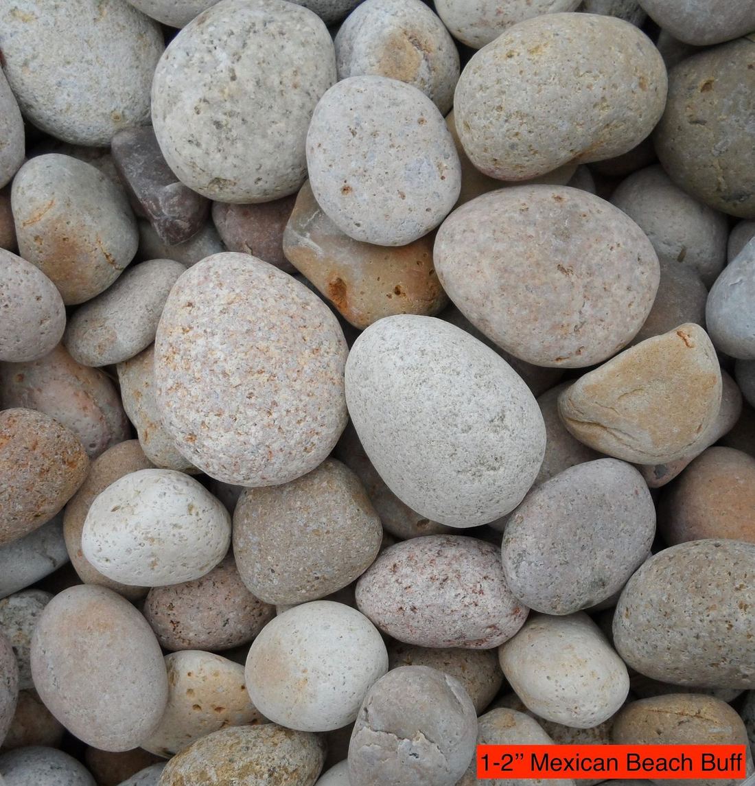 Mexican Beach Pebble — photo 9