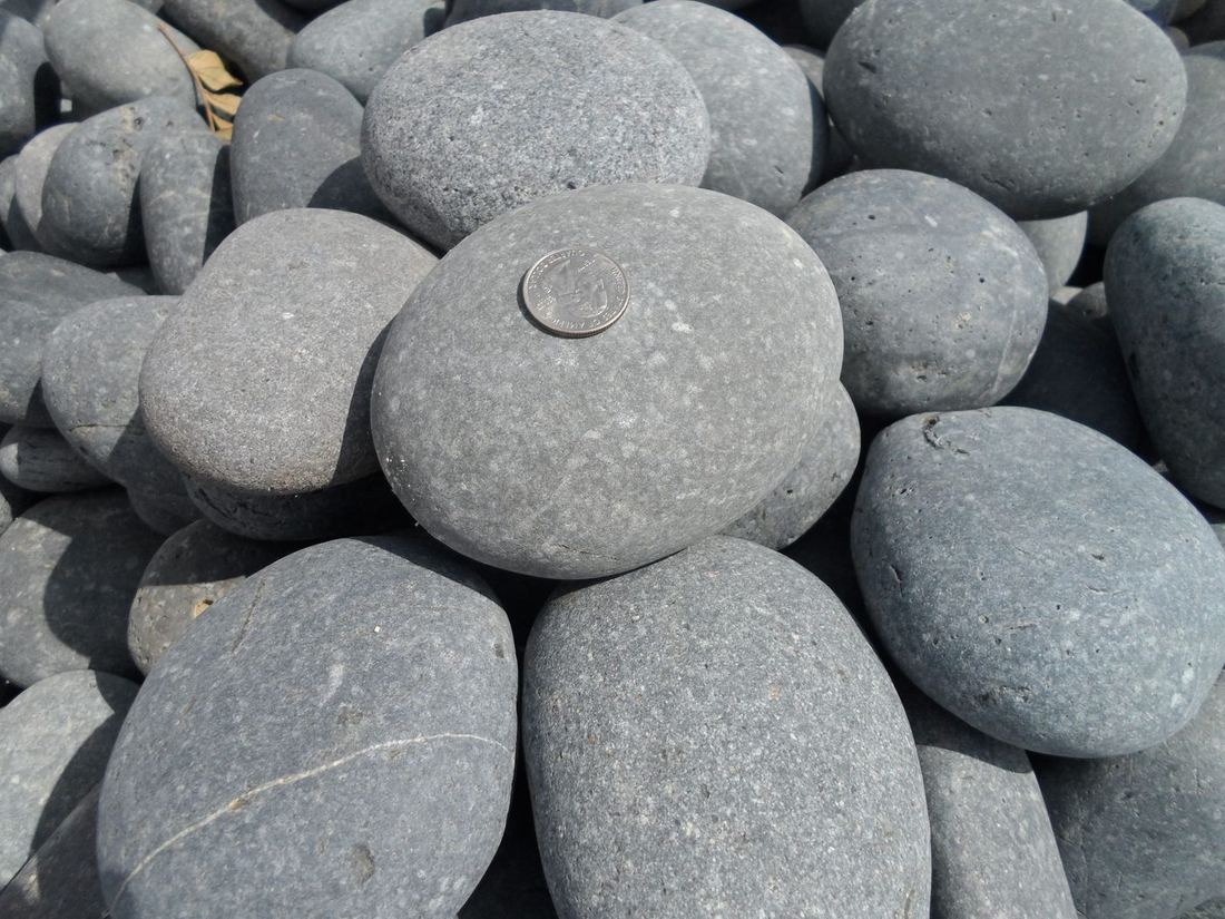 Mexican Beach Pebble — photo 6