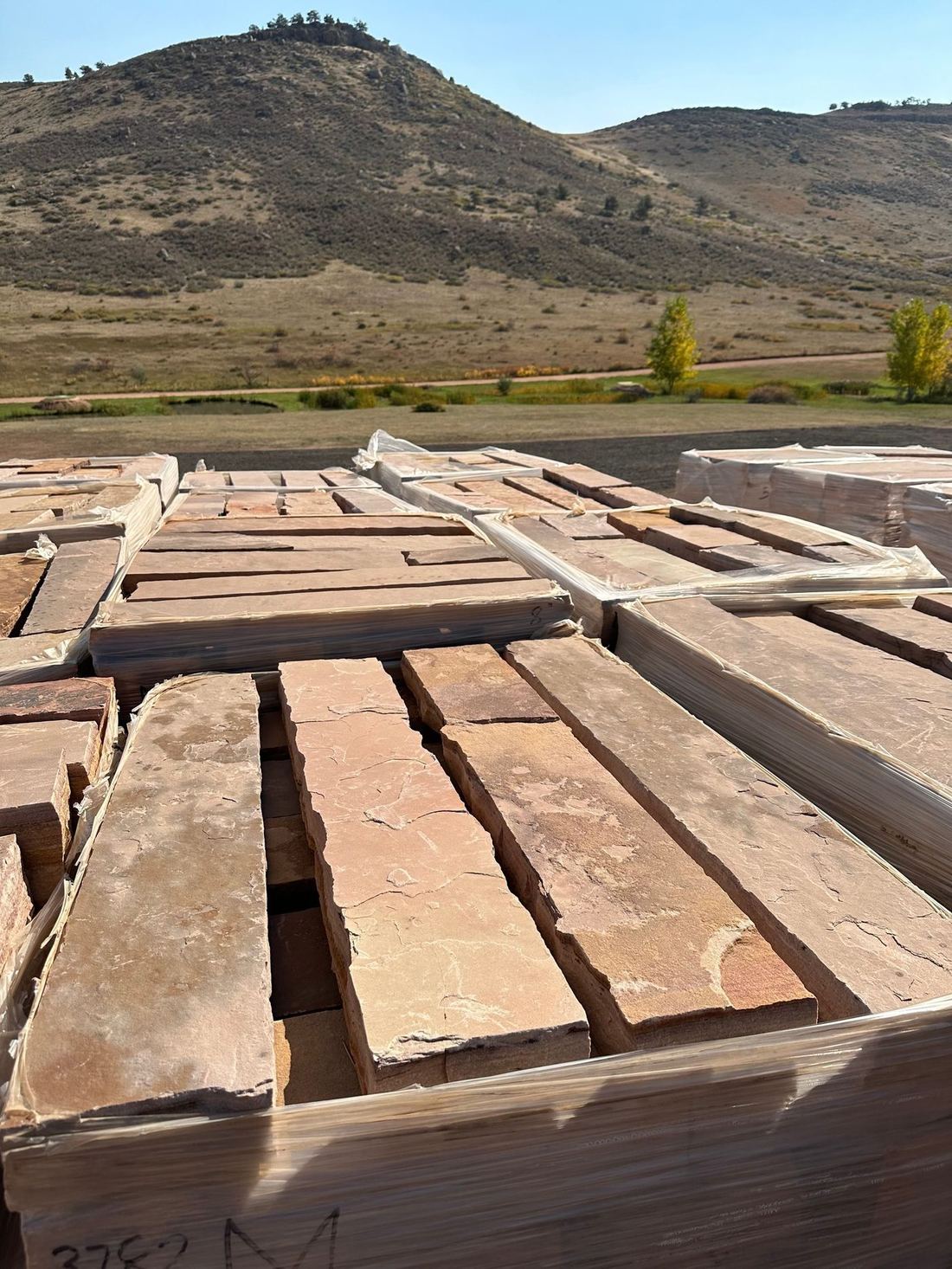 Colorado Blush — photo 2