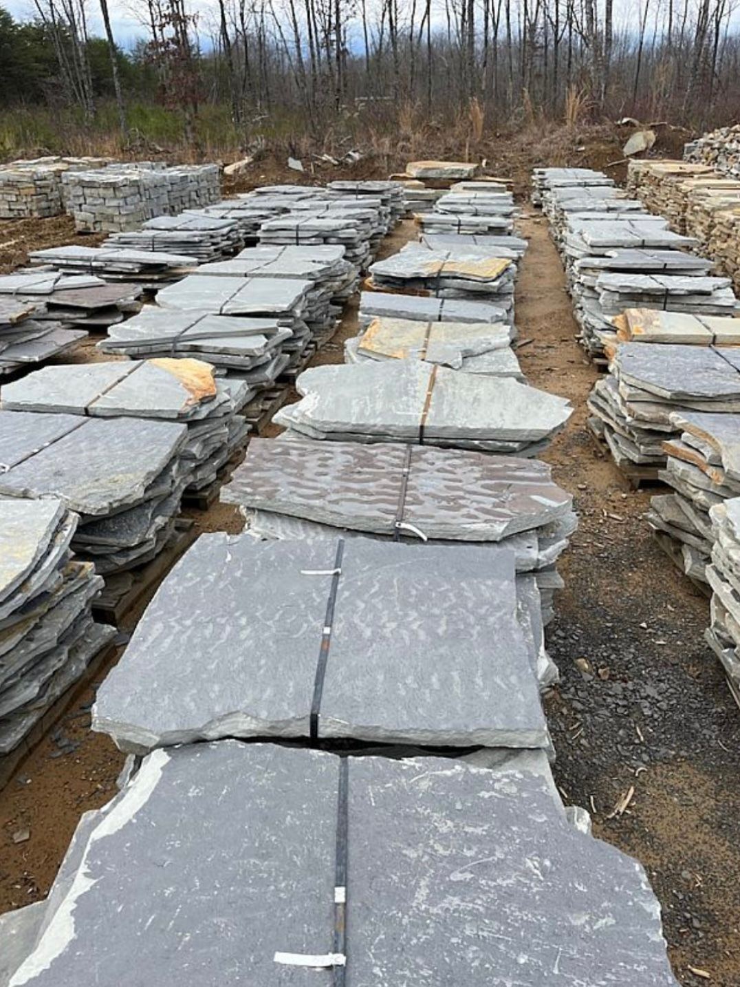 Tenn Blue/Grey Flagstone — photo 3