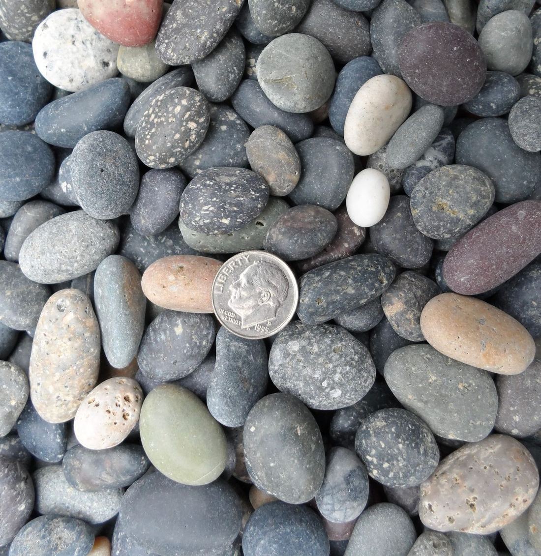 Mexican Beach Pebble — photo 7