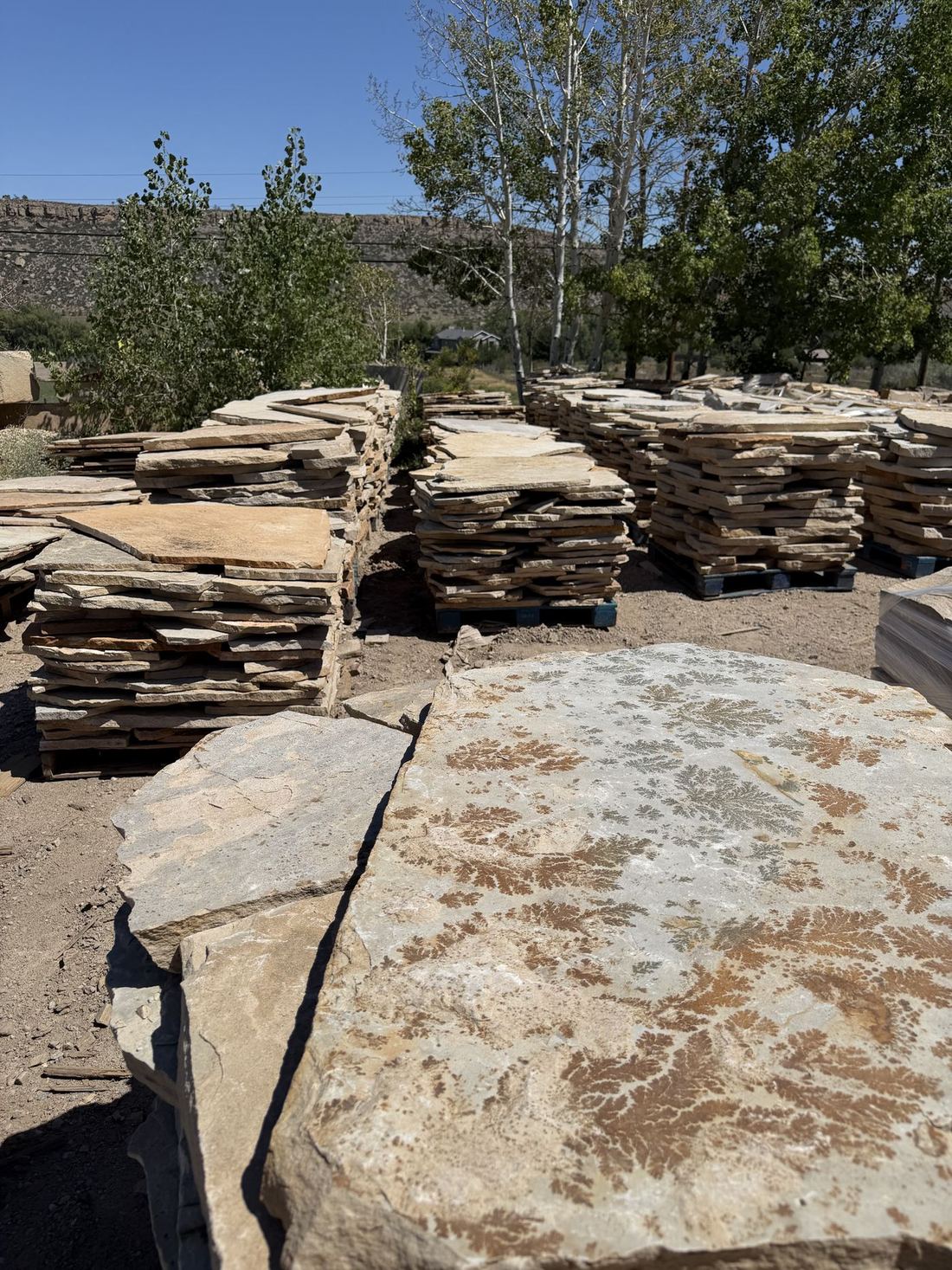 Colorado Buff Flagstone — photo 6