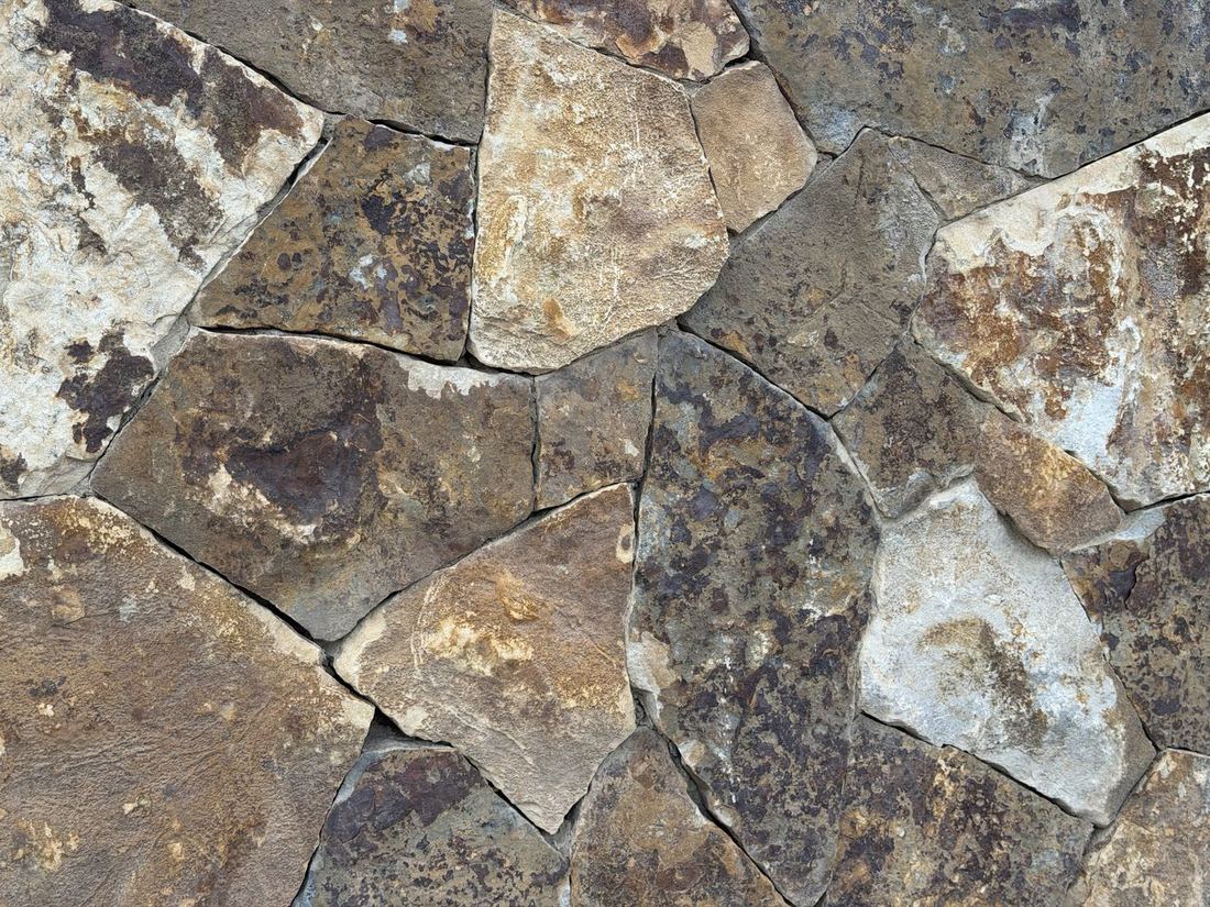 Desert Tortoise Random natural stone — Thin Veneer