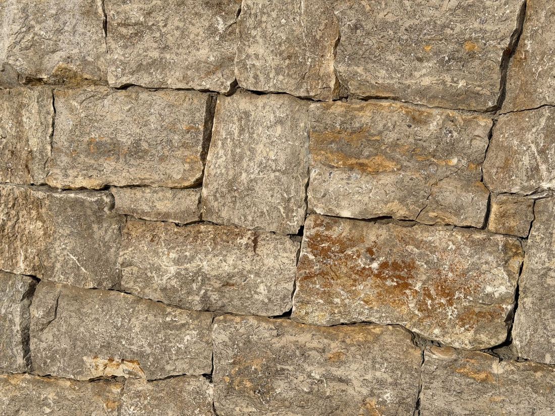 Osage Cream — photo 3