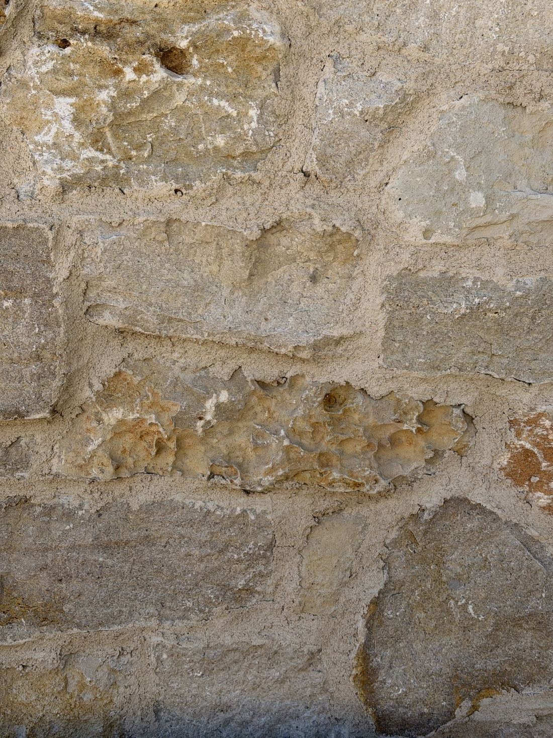 Osage Cream — photo 4