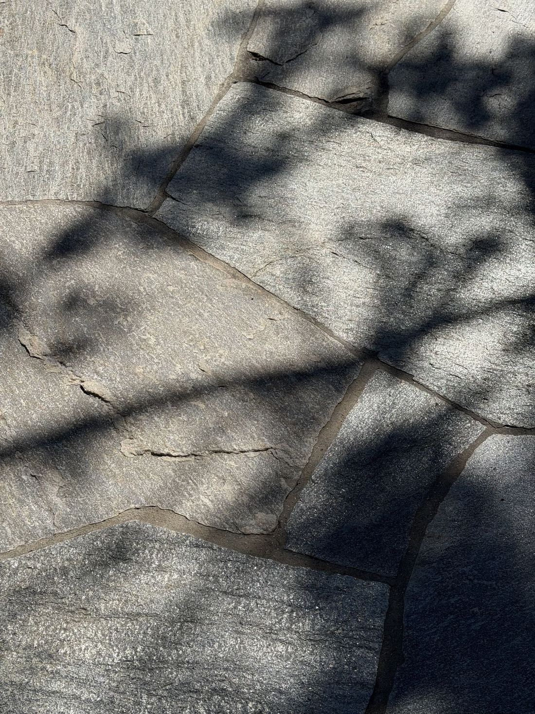 Quartzite Silver Flagstone — photo 2
