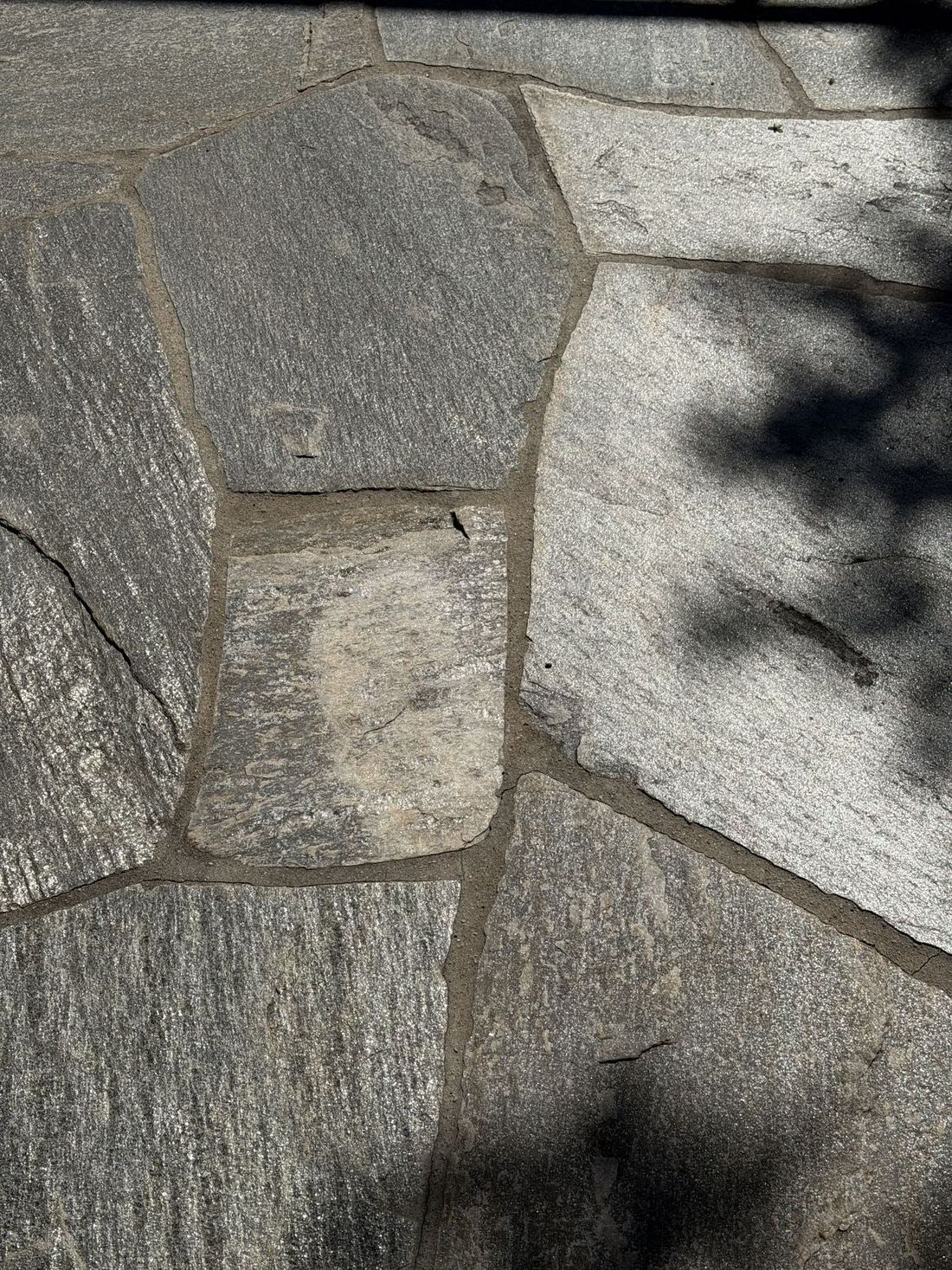 Quartzite Silver Flagstone — photo 3