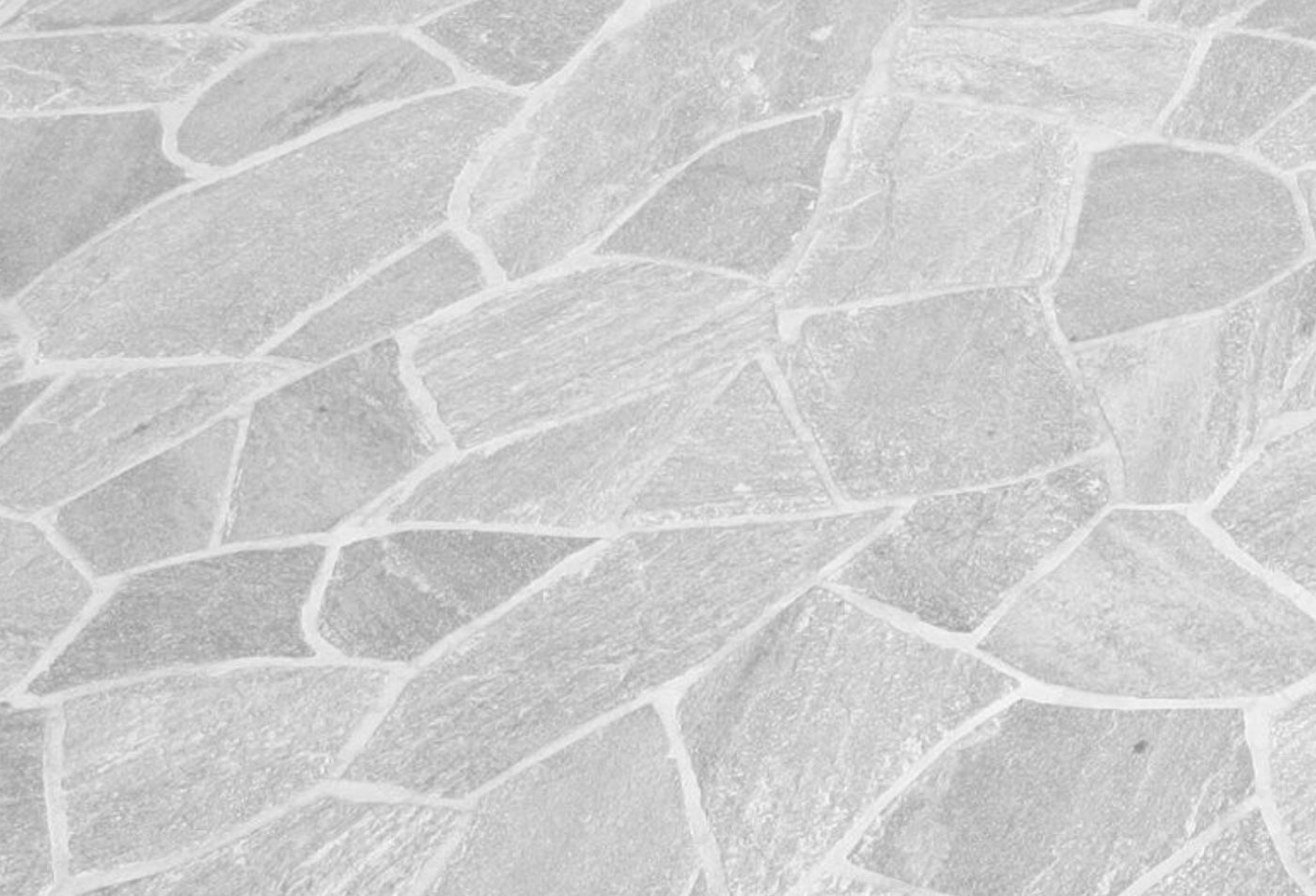 Quartzite White Flagstone — photo 1