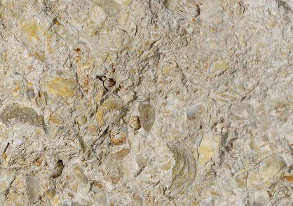 Chestnut limestone — photo 3