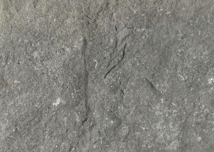 Dover Dark Gray Limestone — photo 1