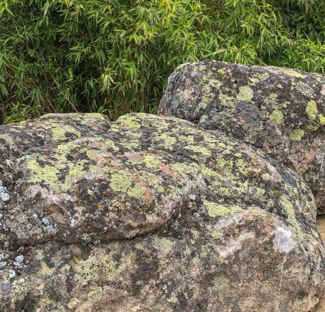 Moss Rock Boulders — photo 1